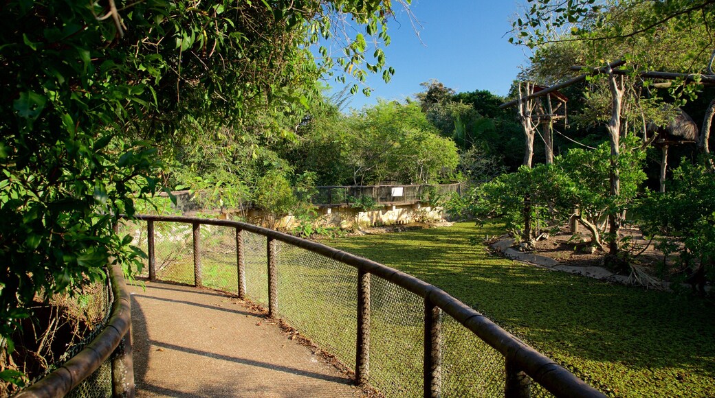 Aluxes Eco Park featuring zoo animals