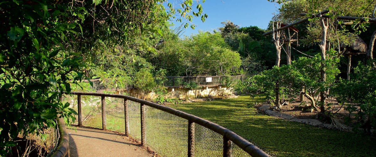 Parque ecológico de Aluxes mostrando animales del zoológico