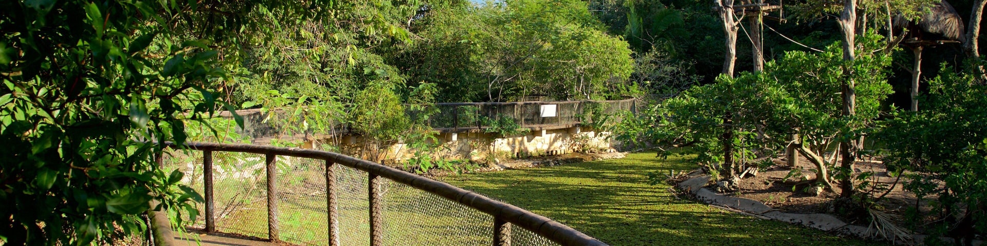 Aluxes Eco Park featuring zoo animals