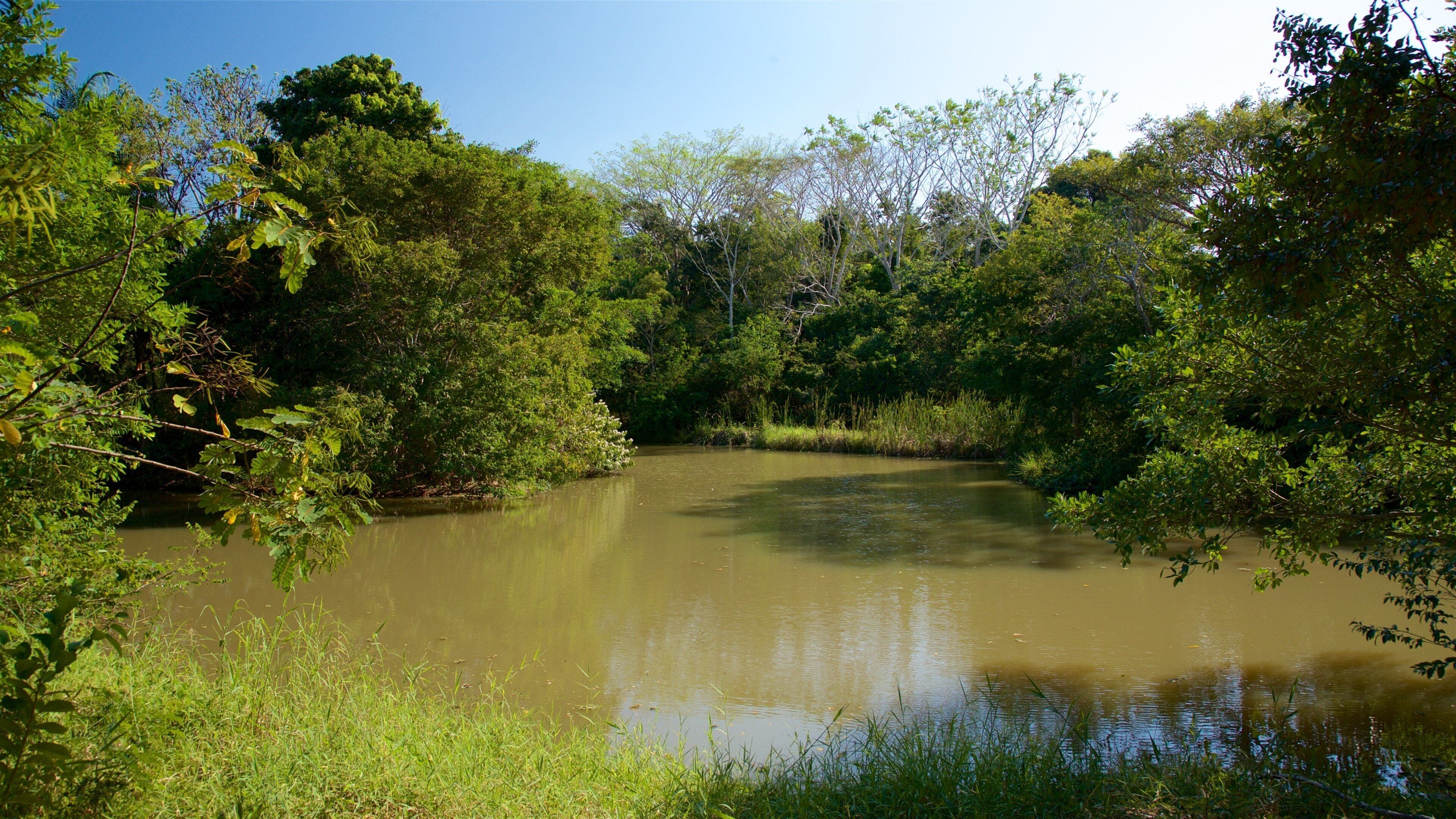 Aluxes Eco Park featuring a lake or waterhole