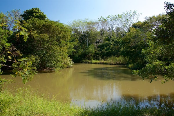 Aluxes Eco Park das einen See oder Wasserstelle