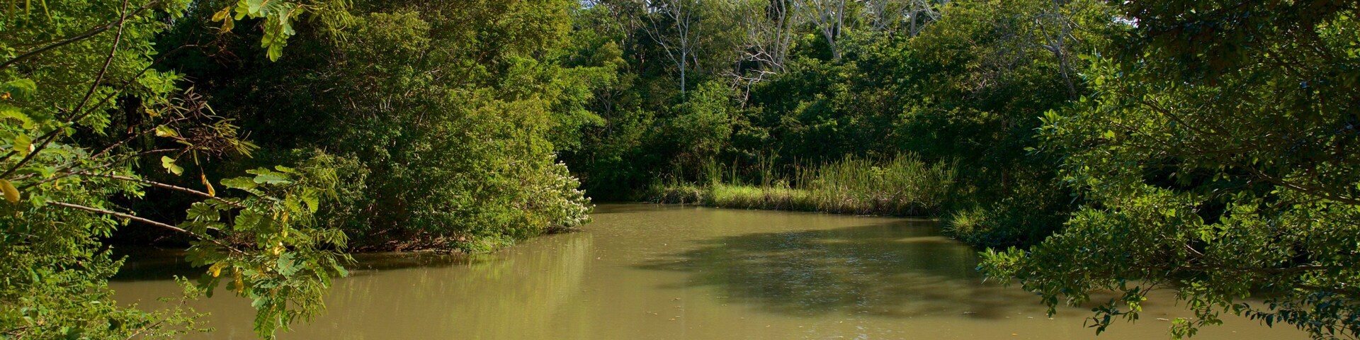 Ăcoparc de Aluxes mettant en vedette lac ou Ă©tang