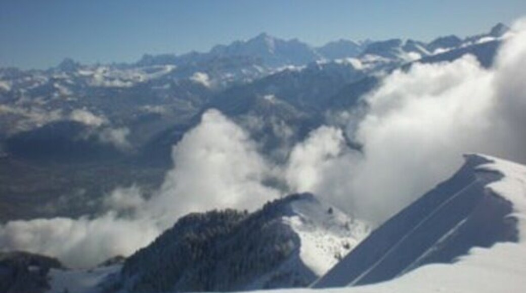 We tried this summit at night but failed to reach the top due to a strong snow slurry. We went back a few mornings later and got the summit. I only wished I had skinned up because there was a pillow top coating of powder and my snowshoes were slowing me down -- next time. #snow