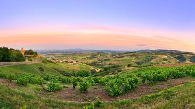 Fleurie