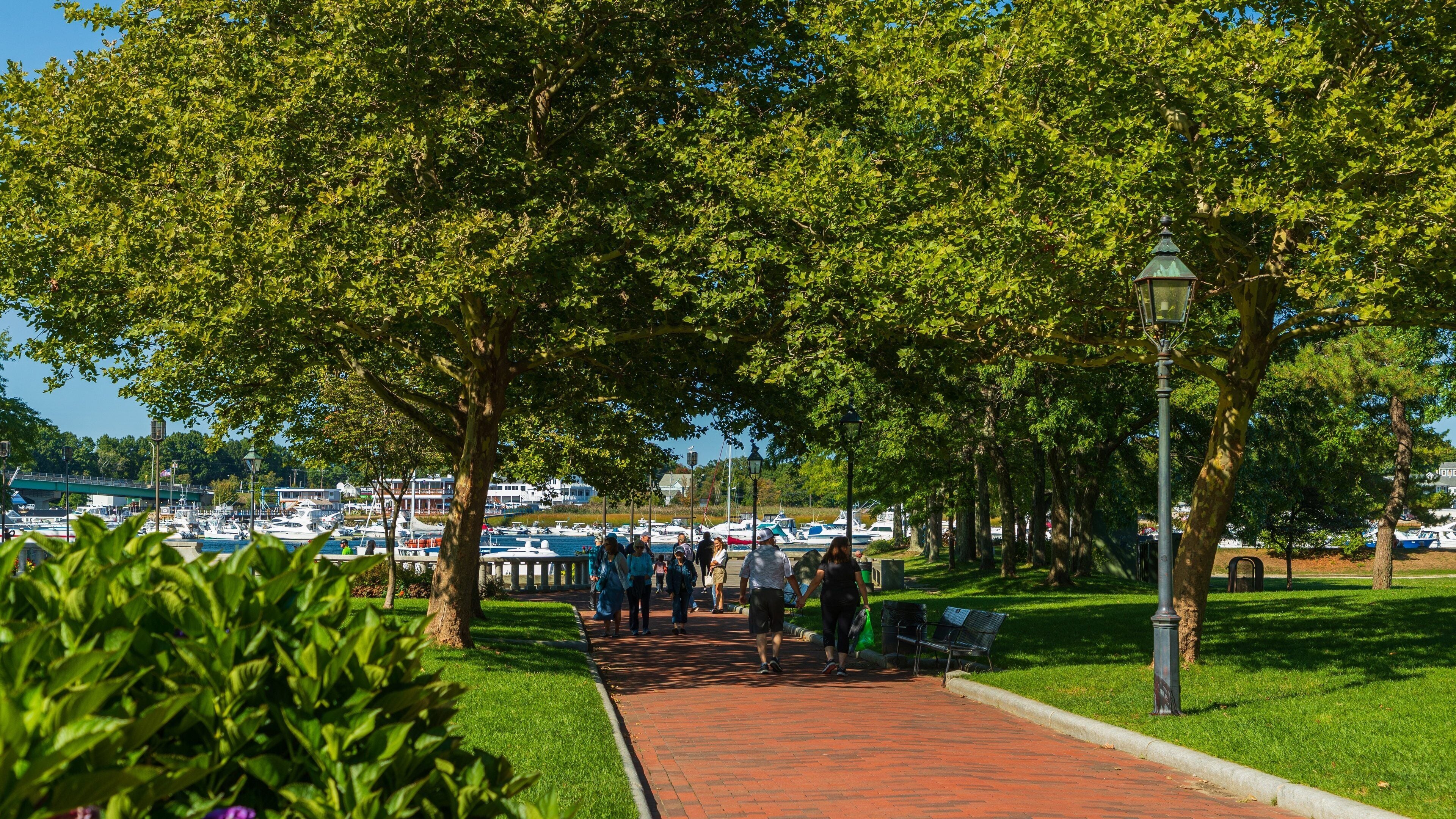 A park with a brick pathway, trees, and a marina in the background.