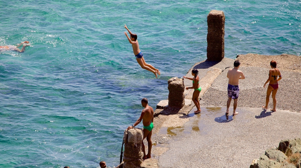 ポルト フラビア 表示 スイミング 及び 少数の人々