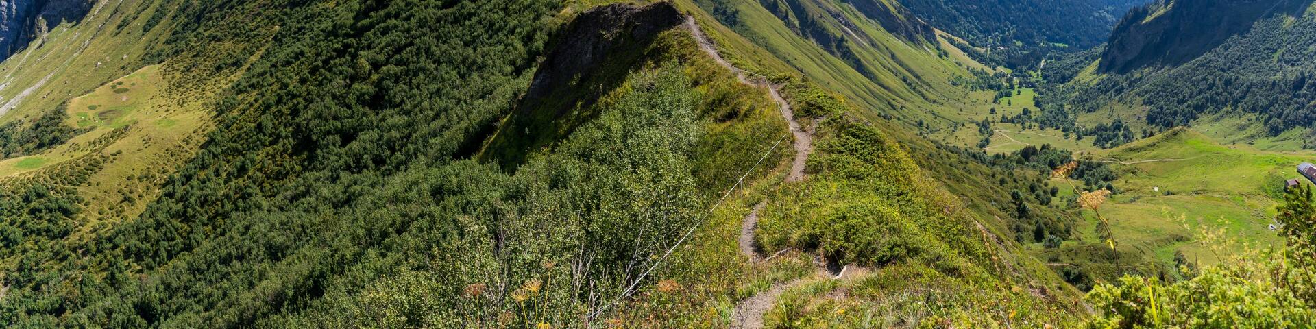 Frankreich im Sommer Portes du Soleil