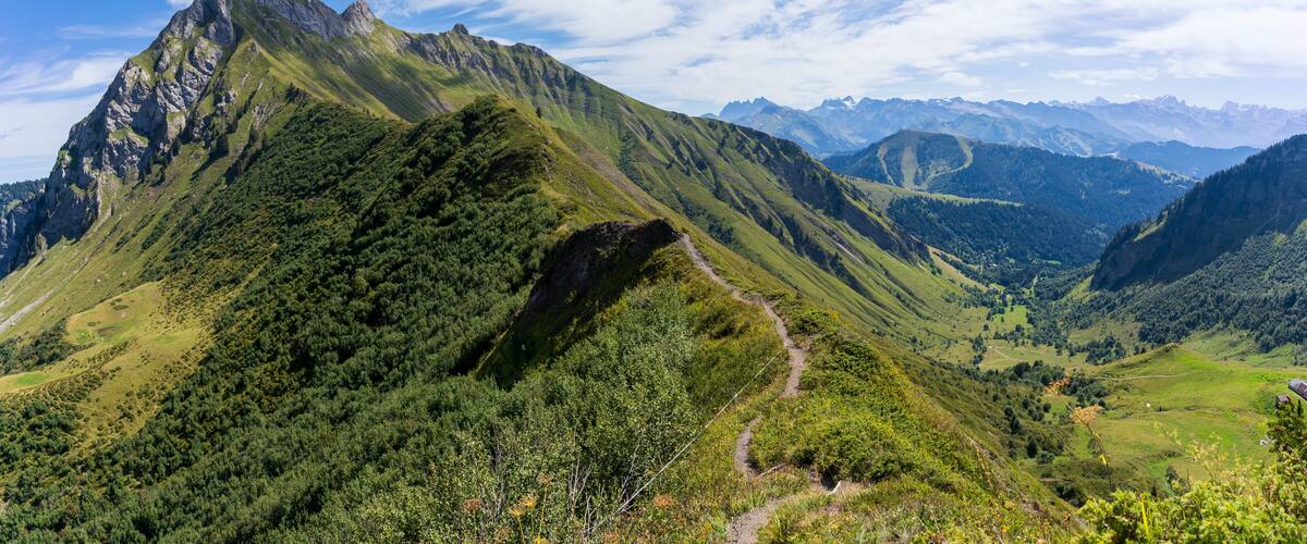 A mountain range with a clear sky and a winding path.