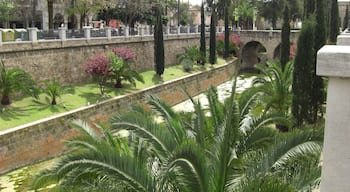 Palma de Mallorca -Stadtkanal-