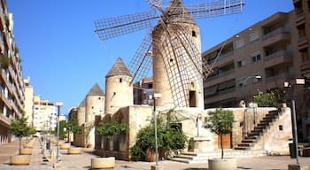 Palma de Mallorca - Antiguos molinos de viento en el centro de la ciudad