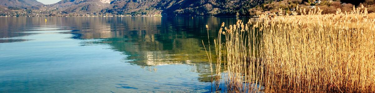 A calm lake with clear water, surrounded by mountains and reeds along the shore.