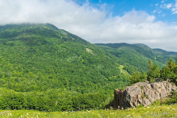 Mont Orford Ski Area showing tranquil scenes and landscape views