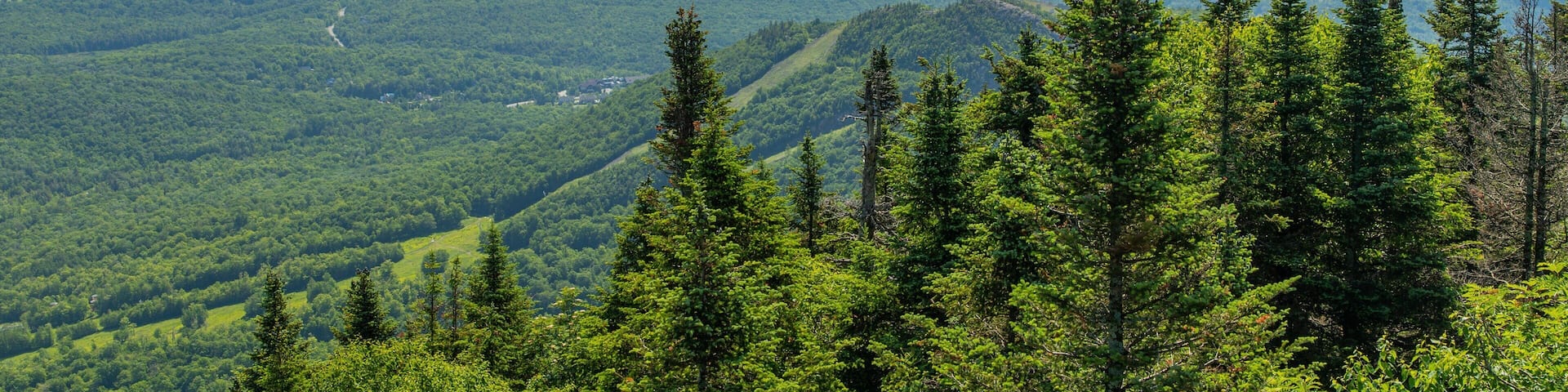 Mont Orford Ski Area showing landscape views and tranquil scenes