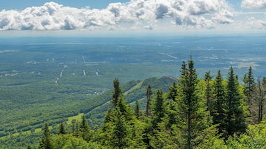 Mont Orford Ski Area showing landscape views and tranquil scenes