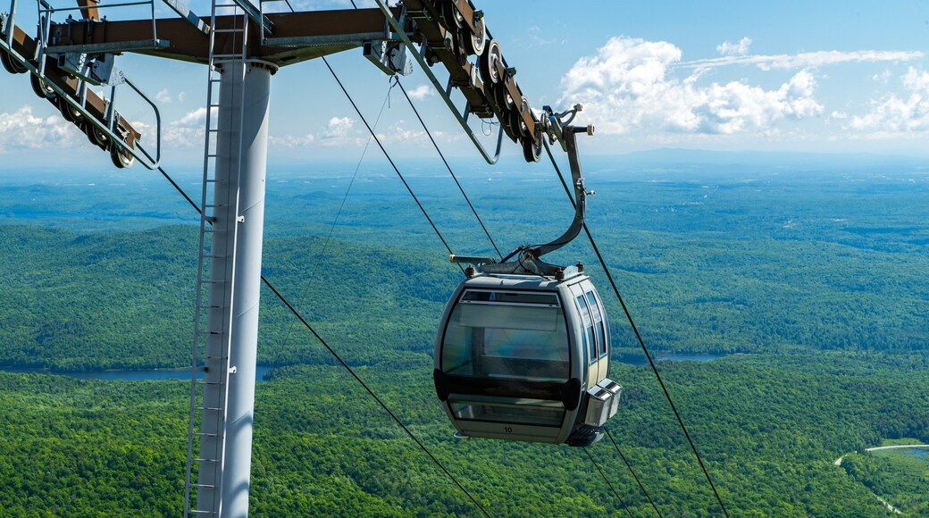 Mont Orford Ski Area featuring a gondola and tranquil scenes