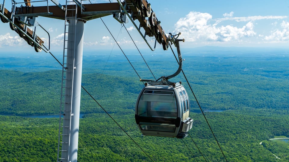 A cable car suspended over a forested landscape.