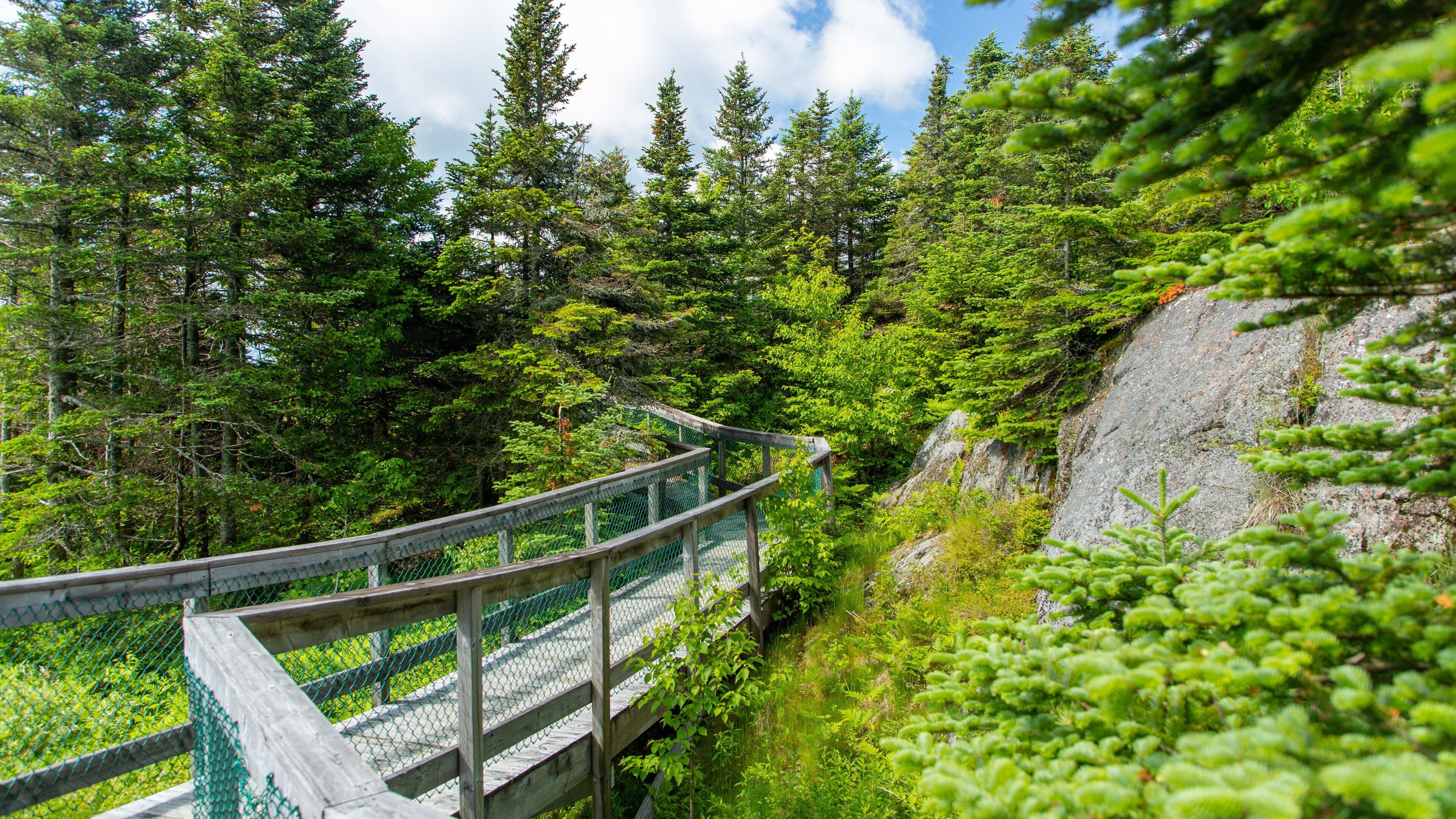 Mont Orford Ski Area which includes tranquil scenes