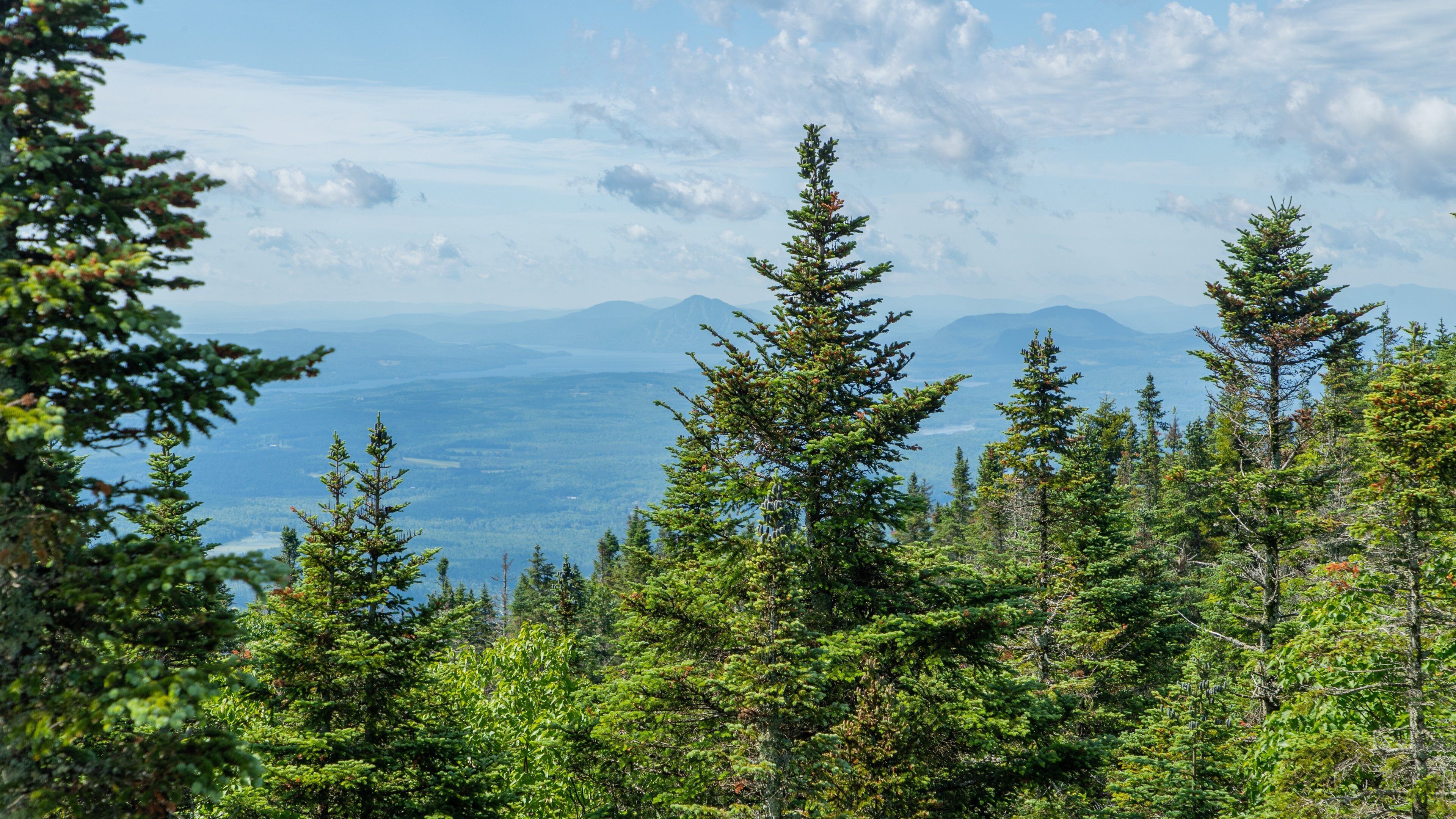 Mont Orford Ski Area which includes forests, tranquil scenes and landscape views