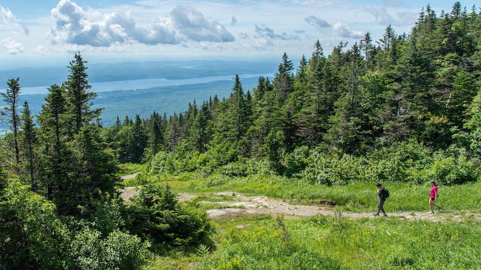 A forested mountain landscape with a lake in the distance.