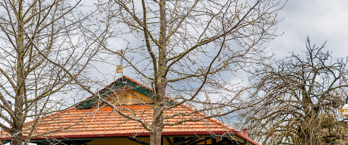A small, yellow building with a red roof labeled "Donnybrook."