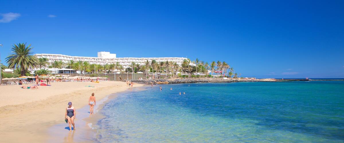 ๋ผ์ค ์ฟ ์ฐจ๋ผ์ค ๋น์น ์ ํน์ง ์ผ๋ฐ ํด์ ์ ๊ฒฝ ๊ณผ ํด๋ณ