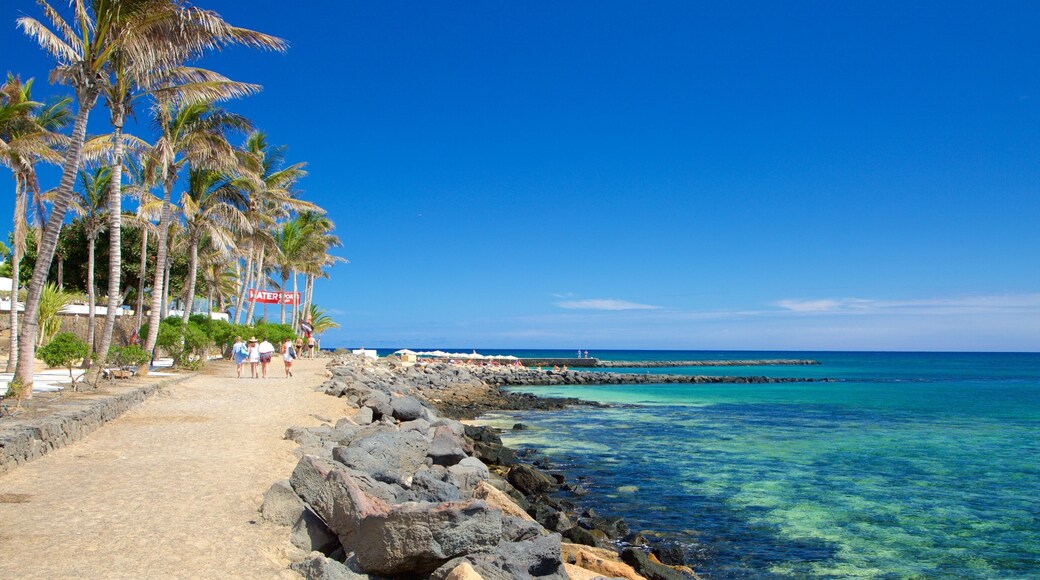 Las Cucharas Beach showing general coastal views, a beach and a coastal town