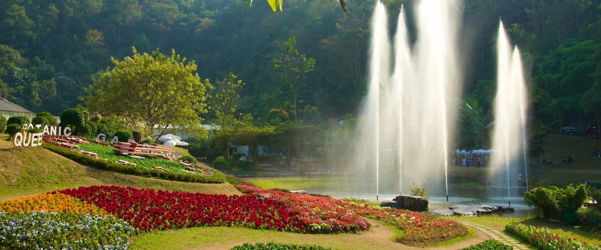 Queen Sirikit Botanical Garden mit einem Springbrunnen, Blumen und Park