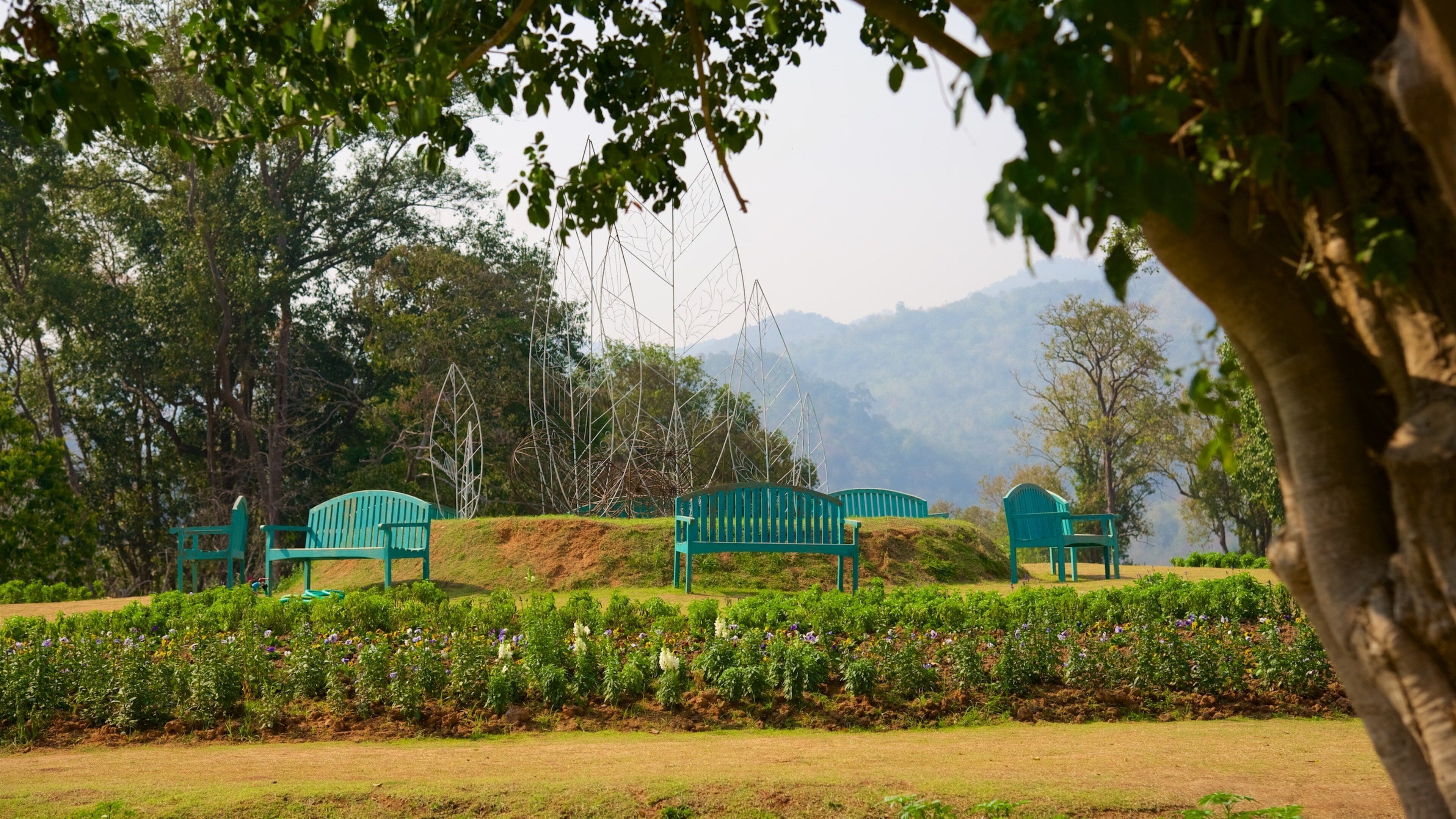 Queen Sirikit Botanical Garden showing a garden
