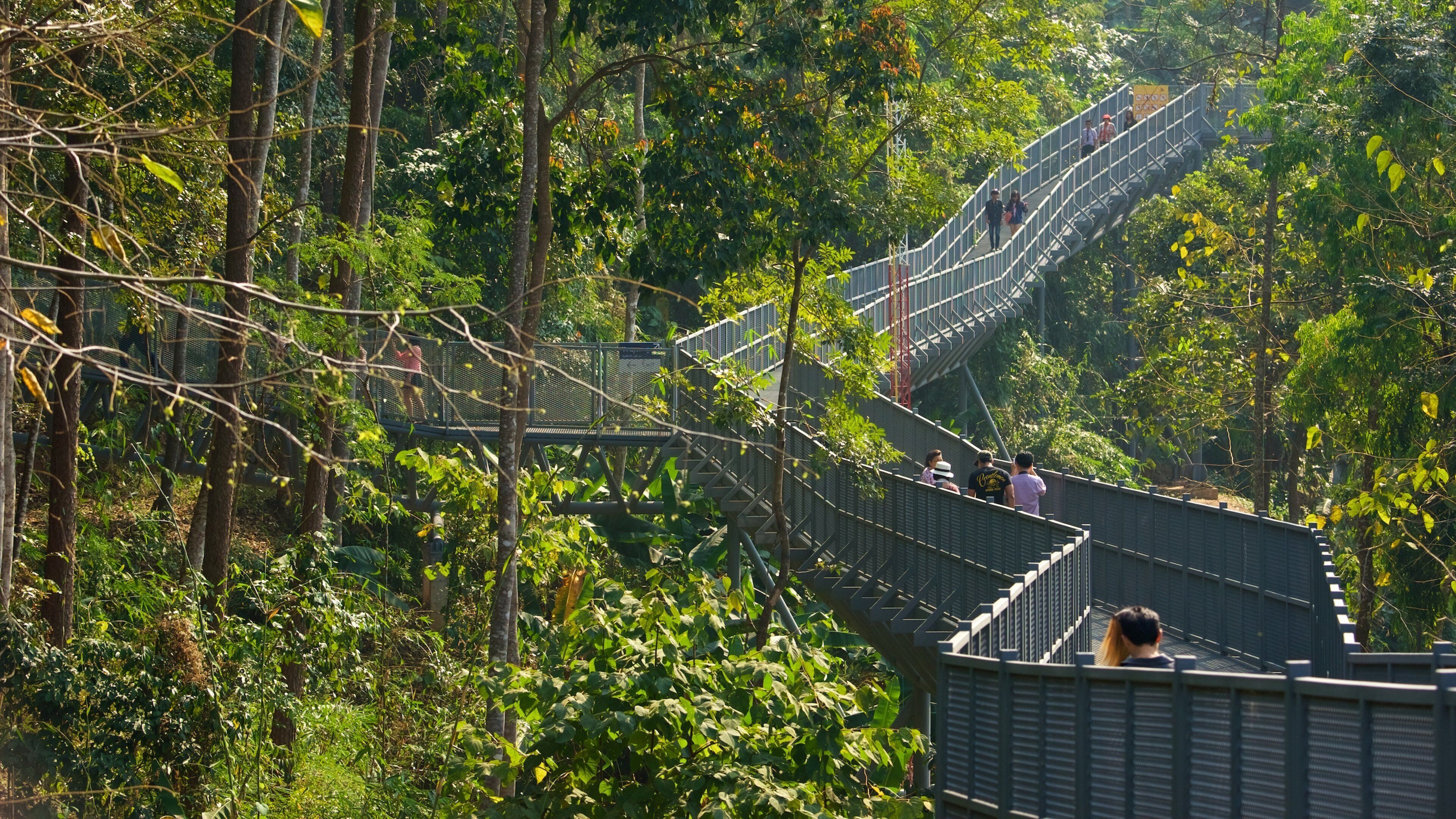 Queen Sirikit Botanical Garden