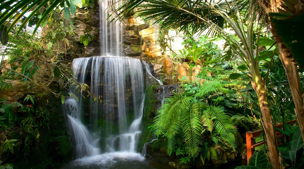 Queen Sirikit Botanical Garden