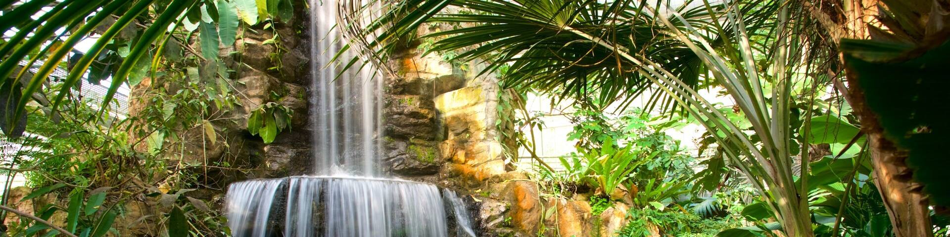 Jardin botanique de la reine Sirikit mettant en vedette chute d\'eau et parc