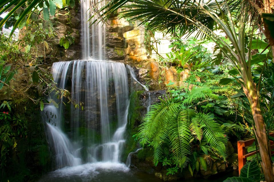 Uma cascata rodeada por vegetação exuberante e um muro de pedra.