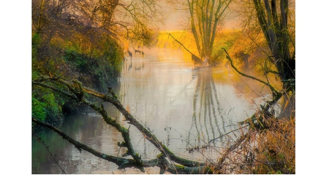 I was walking on the trail along Zuid Diljethal (South Dille Valley); a small river in the Flemish-Brabant Region of Belgium. Not far from Brussels.
The morning was beautifully misty and the rising sun provided a gorgeous light. Now I understand what the Old Masters saw as they painted their landscapes. #BvS100k