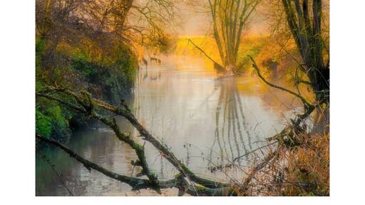 I was walking on the trail along Zuid Diljethal (South Dille Valley); a small river in the Flemish-Brabant Region of Belgium. Not far from Brussels.
The morning was beautifully misty and the rising sun provided a gorgeous light. Now I understand what the Old Masters saw as they painted their landscapes. #BvS100k