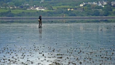 A couple days ago I posted a photograph of a car returning from Coney Island. Here is a picture of a man walking home the same day. Remember there is no bridge to the island and the crossing can only be accomplished during low tide.