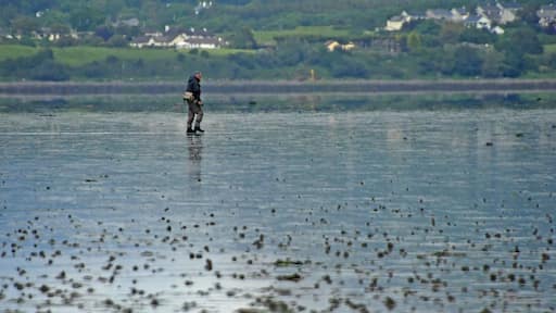 A couple days ago I posted a photograph of a car returning from Coney Island. Here is a picture of a man walking home the same day. Remember there is no bridge to the island and the crossing can only be accomplished during low tide.