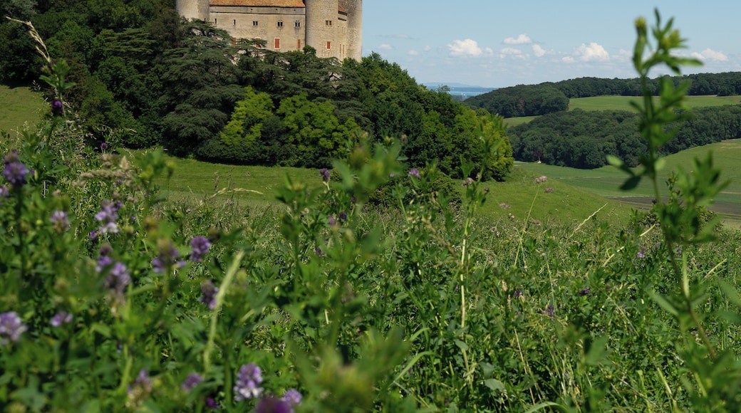Beautiful castle in the distance in Champvent!
