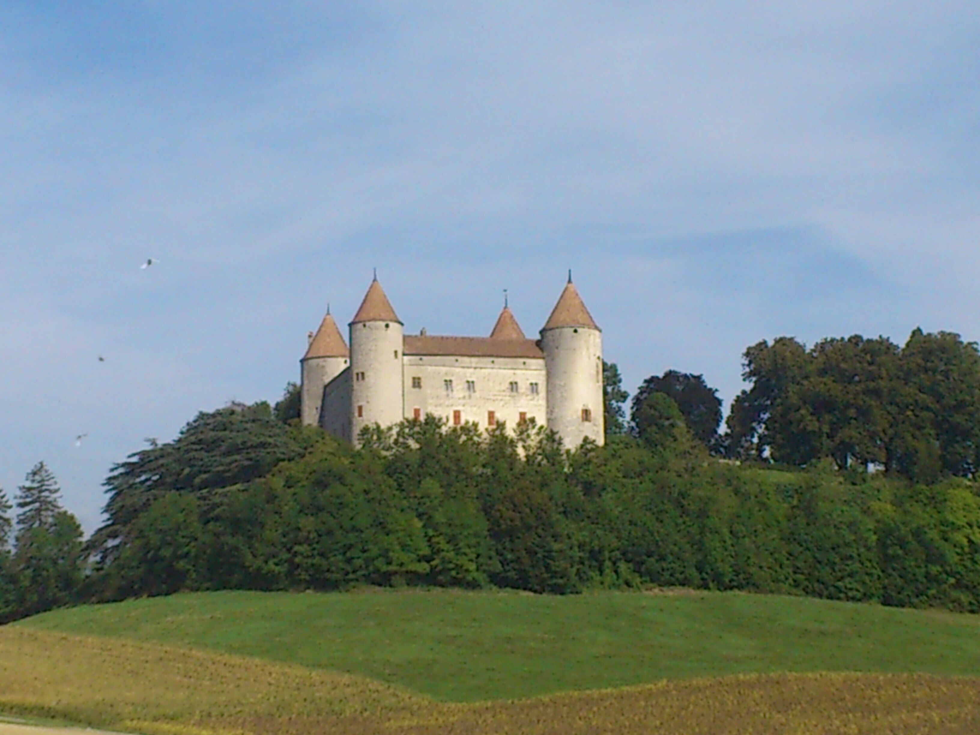 This is an image of a cultural property of national significance in Switzerland with KGS number