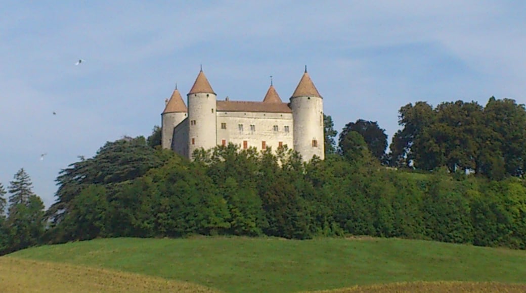 This is an image of a cultural property of national significance in Switzerland with KGS number