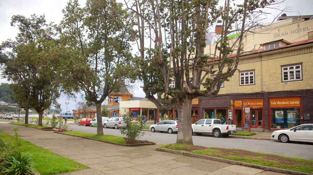 Puerto Varas Plaza de Armas which includes a garden