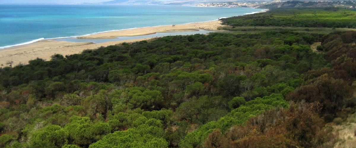 Riserva Naturale Orientata Foce del fiume Platani