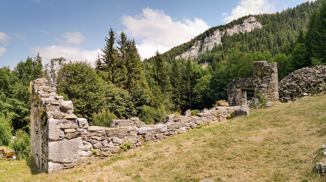 Saint-Martin-en-Vercors