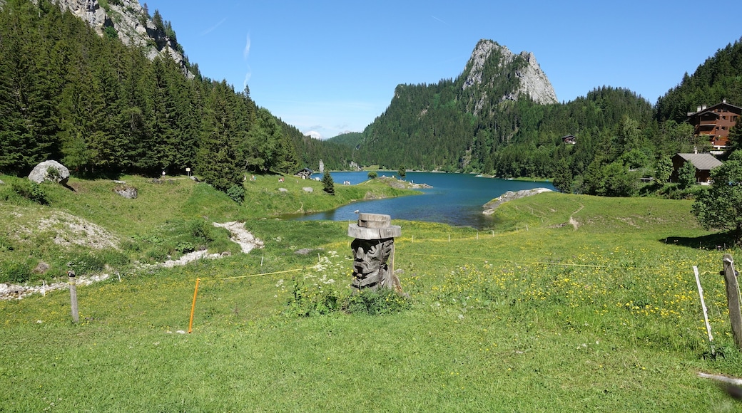 Lac de Taney, Valais