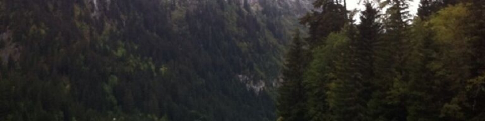 Nice place. Hidden gem