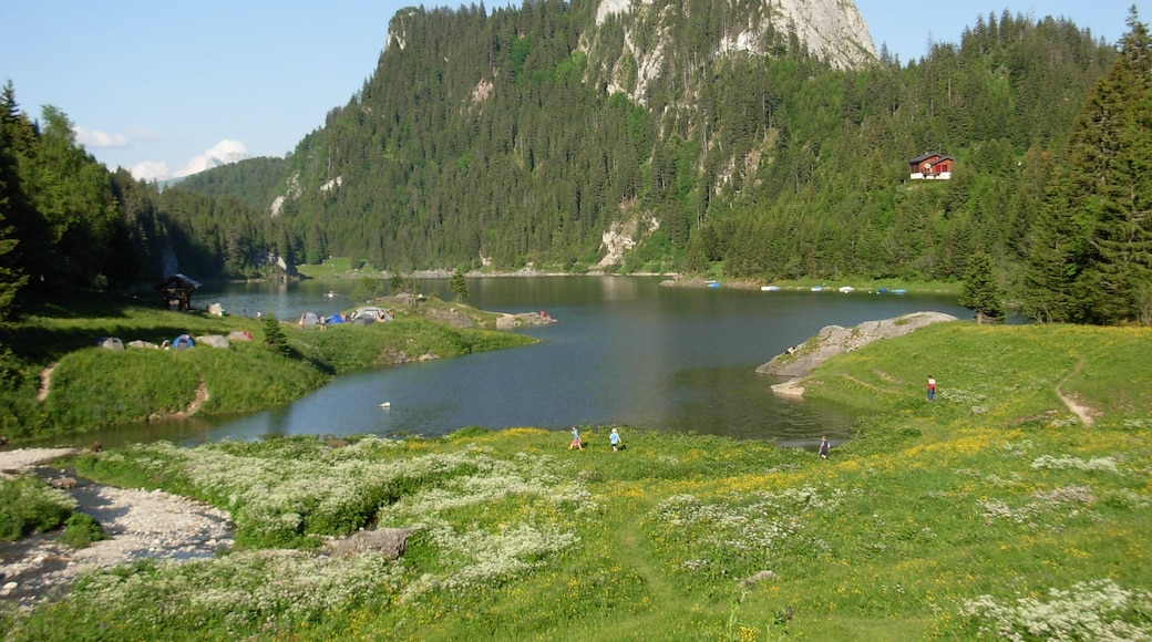 Le Lac de Taney avec le Tâche (alt. 1693 m). Juin 2008.