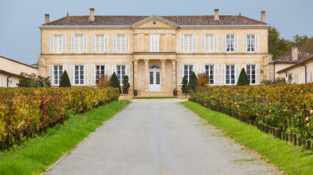 Traditional chateau and vineyards in Bordeaux. Winemaking in Aquitaine, France