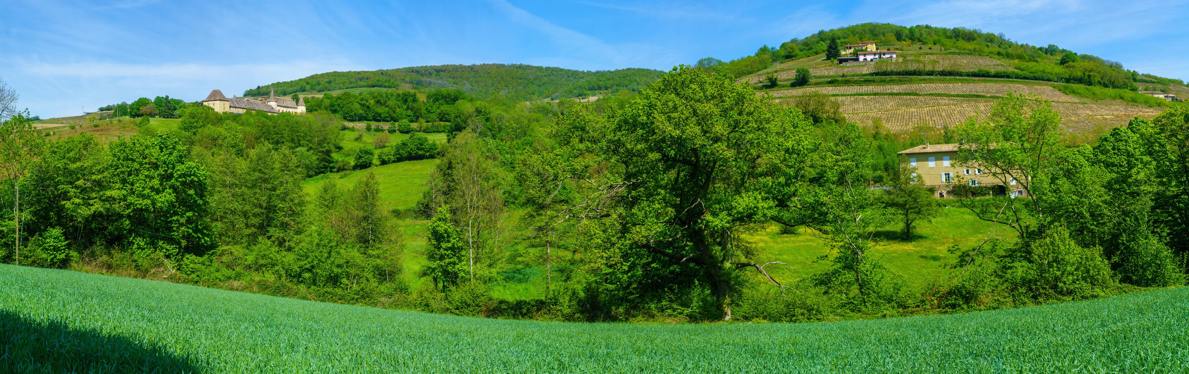 Quincié-en-Beaujolais