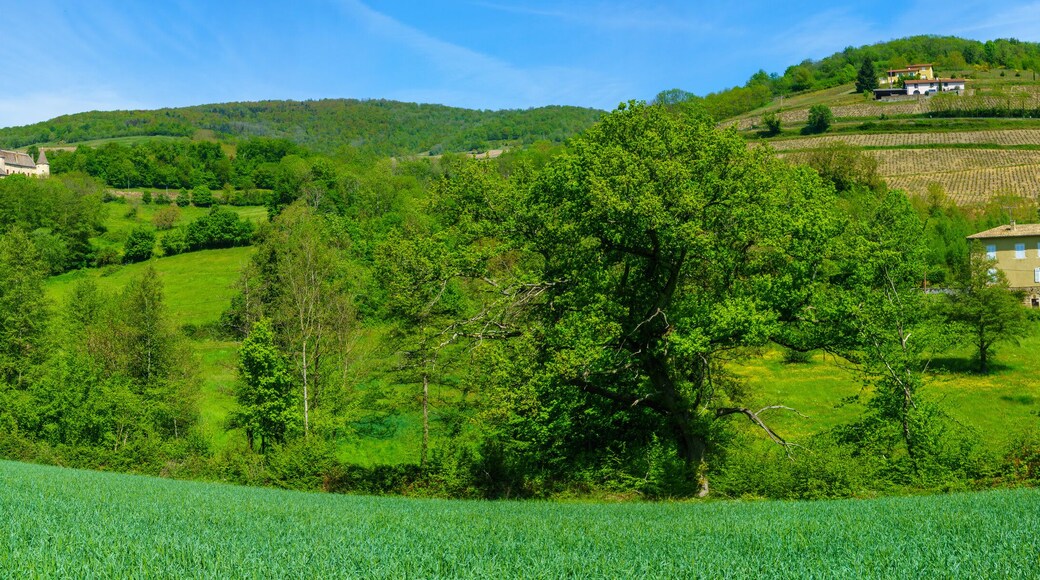 Quincie-en-Beaujolais