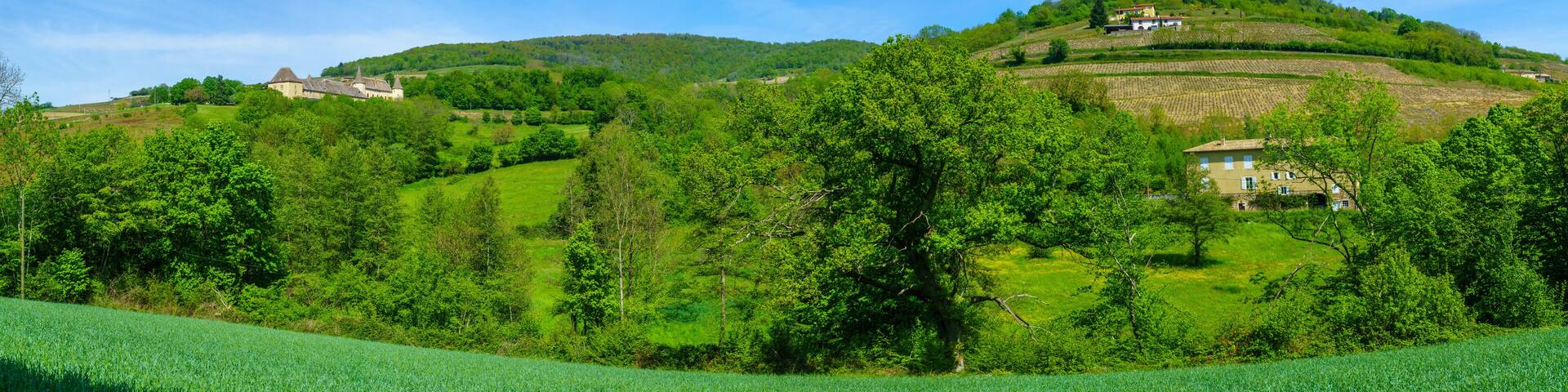 Panorama of vineyards and countryside, with Chateau, in Beaujolais