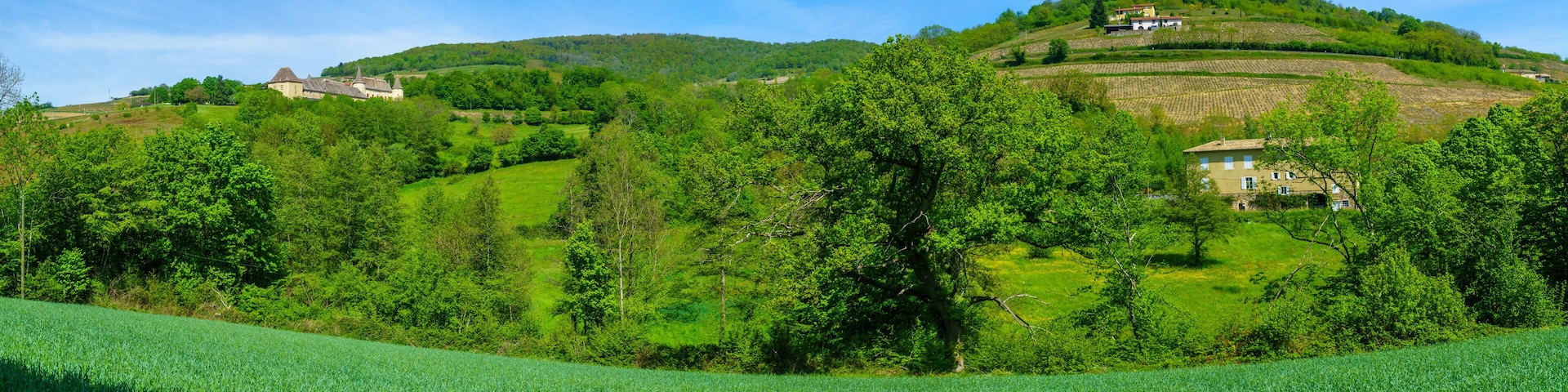 Panorama of vineyards and countryside, with Chateau, in Beaujolais
